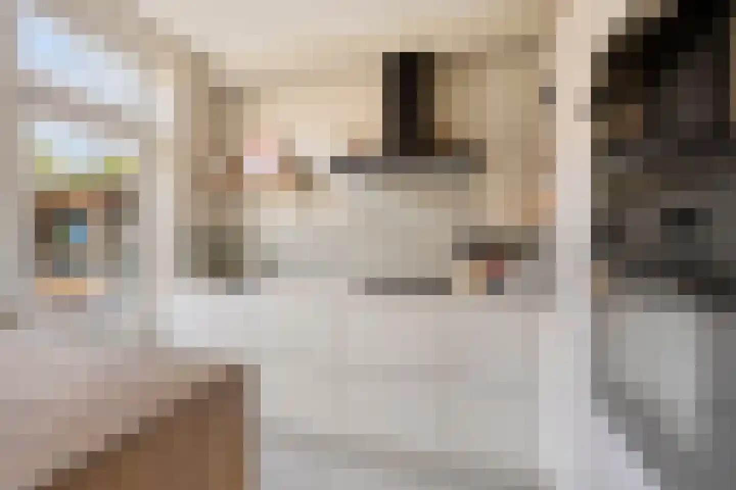 Coppensstraat 3 's-Hertogenbosch thumbnail 11