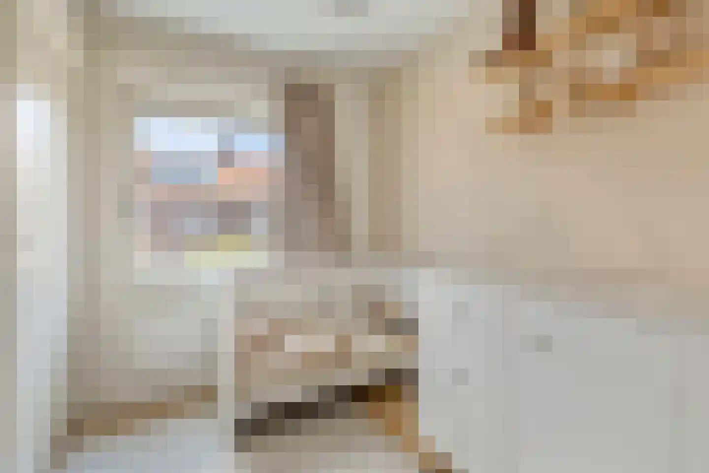 Coppensstraat 3 's-Hertogenbosch thumbnail 19