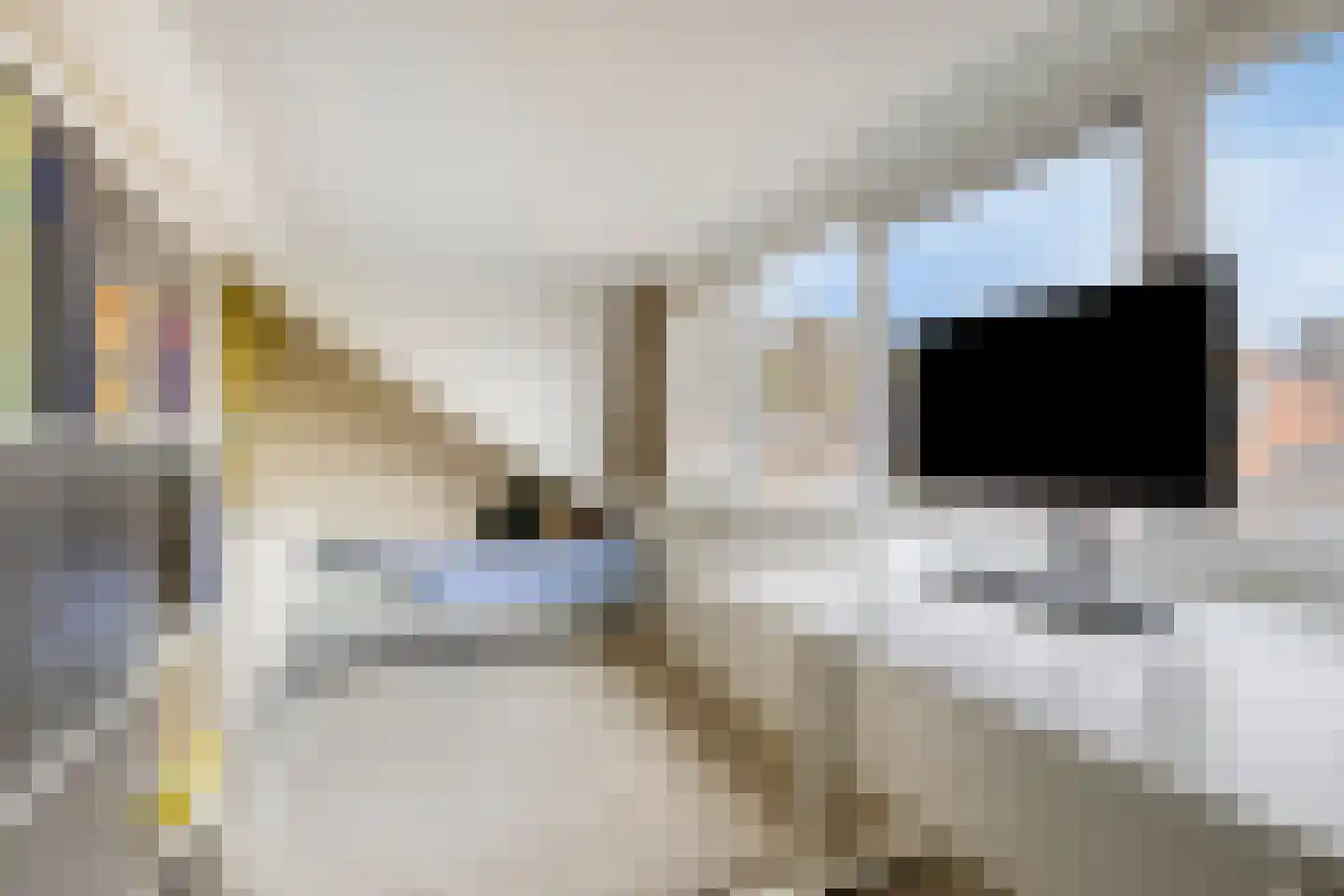 Coppensstraat 3 's-Hertogenbosch thumbnail 25