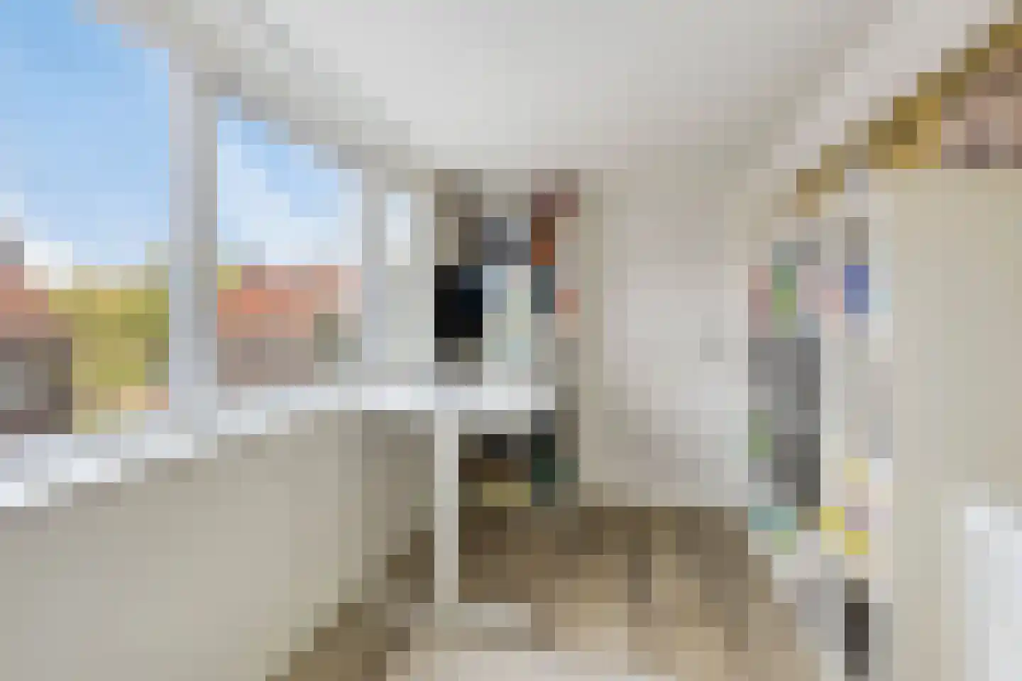 Coppensstraat 3 's-Hertogenbosch thumbnail 26