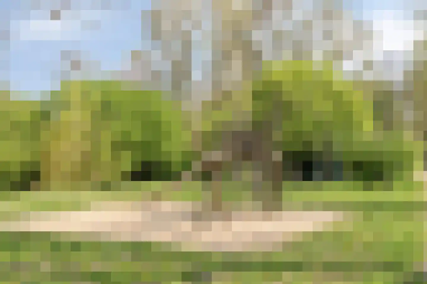 Coppensstraat 3 's-Hertogenbosch thumbnail 30