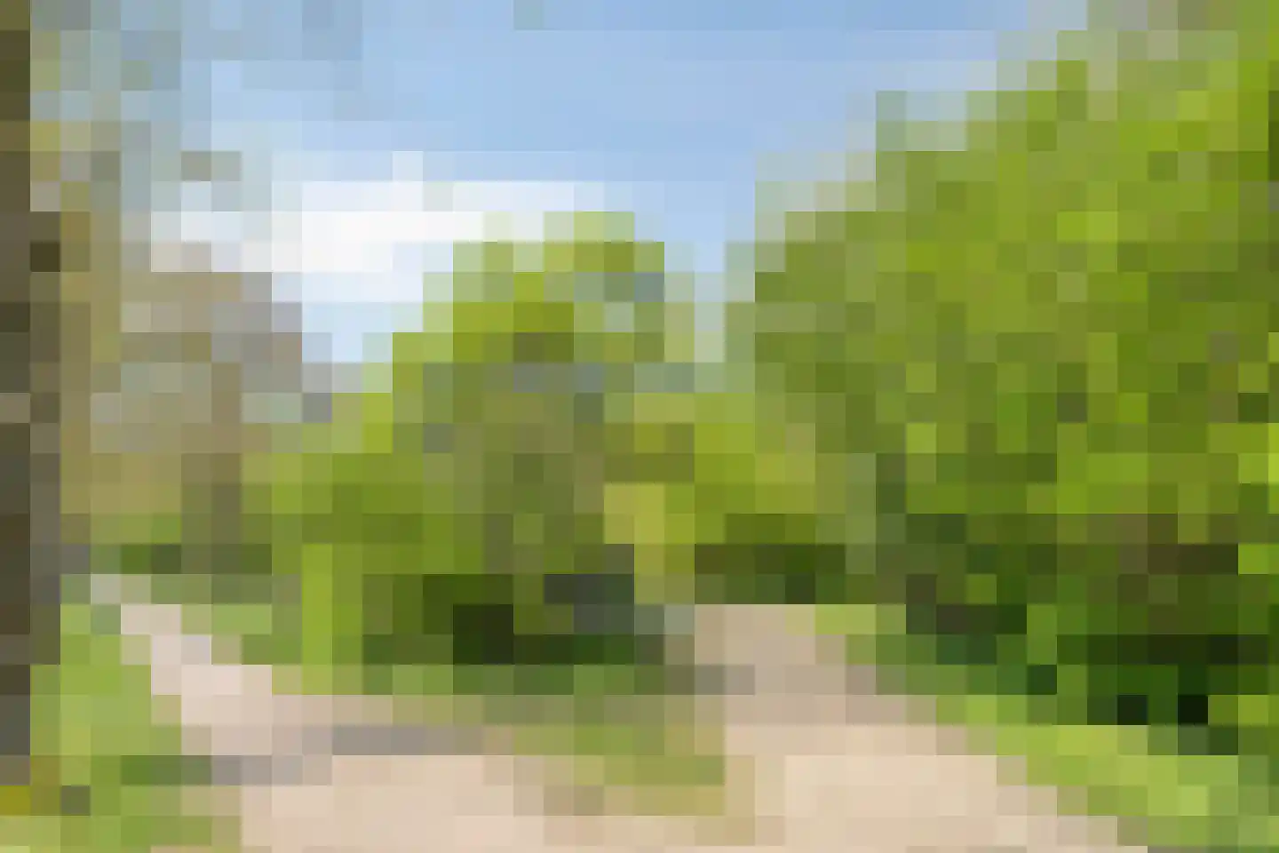 Coppensstraat 3 's-Hertogenbosch thumbnail 31