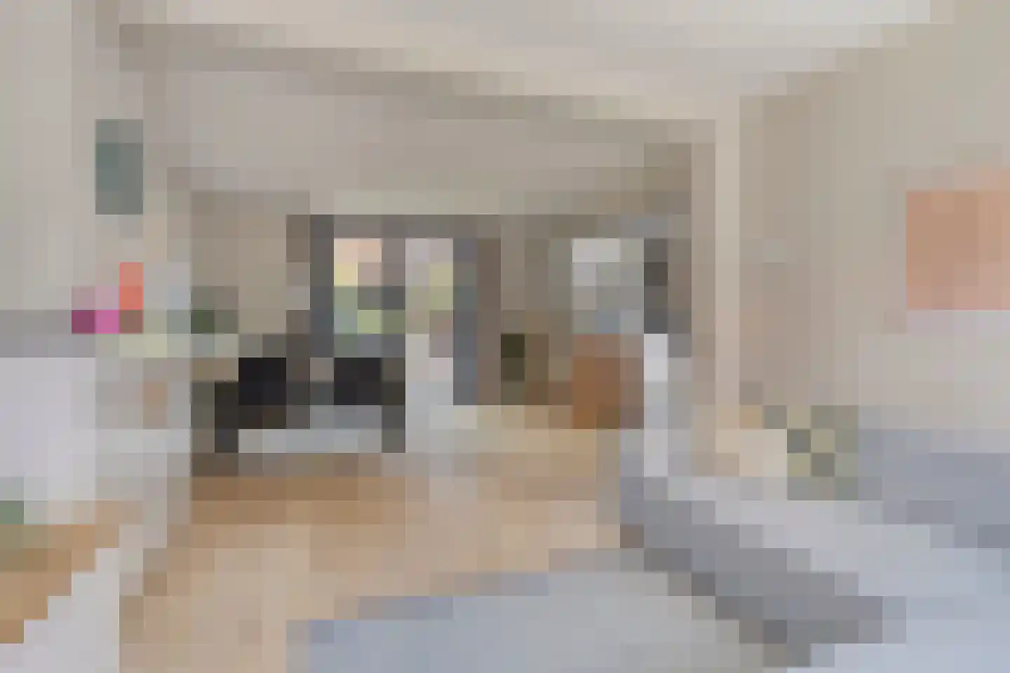 Coppensstraat 3 's-Hertogenbosch thumbnail 4