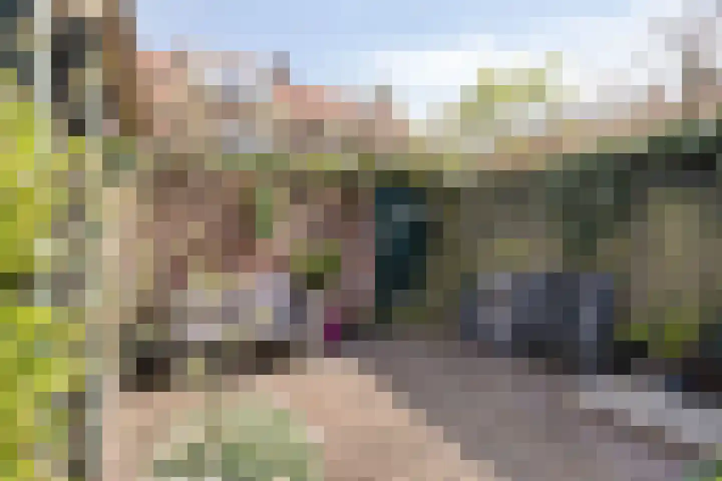 Coppensstraat 3 's-Hertogenbosch thumbnail 8