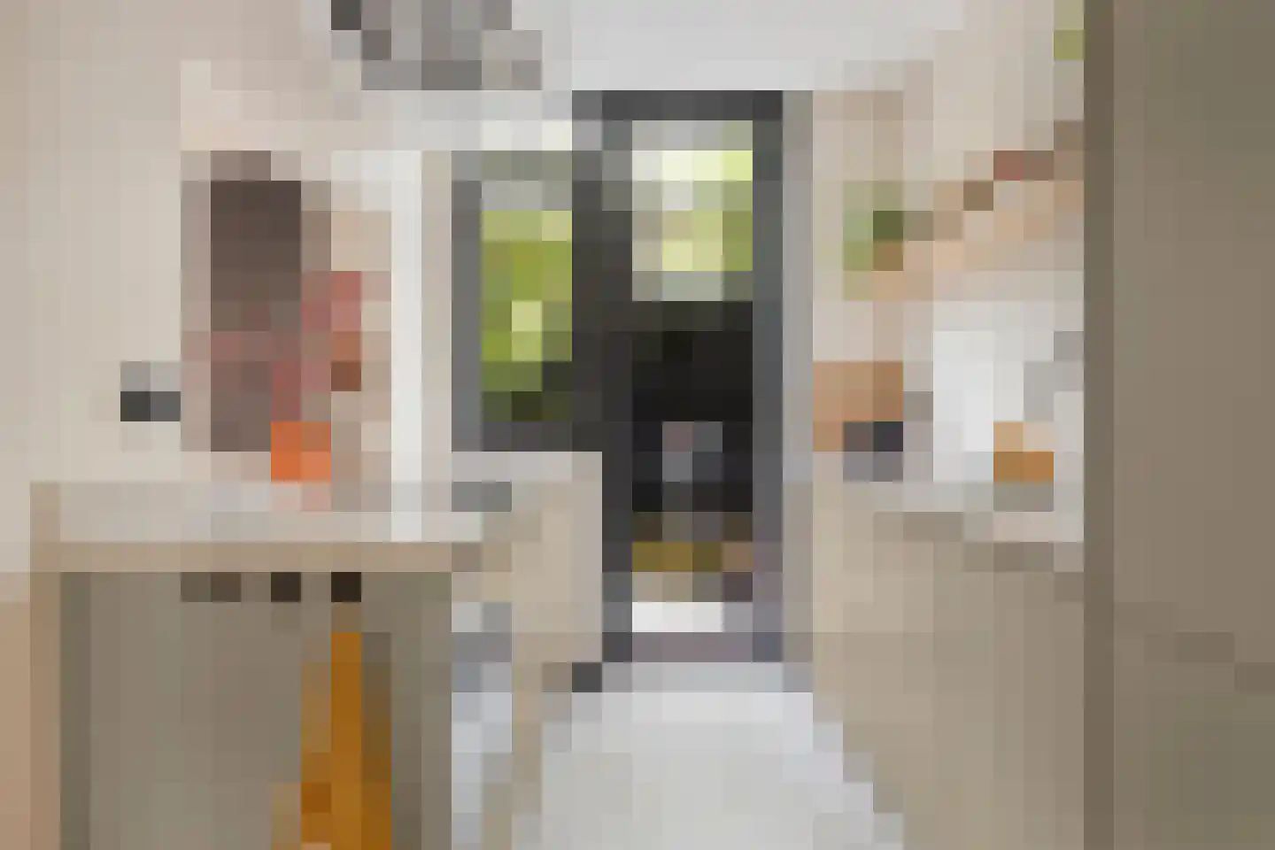 Coppensstraat 5 's-Hertogenbosch thumbnail 10