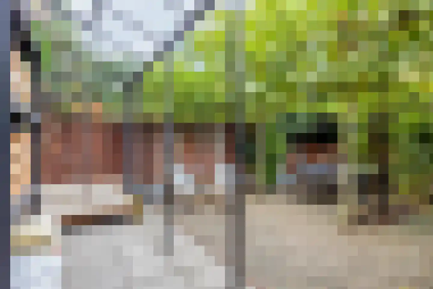 Coppensstraat 5 's-Hertogenbosch thumbnail 11