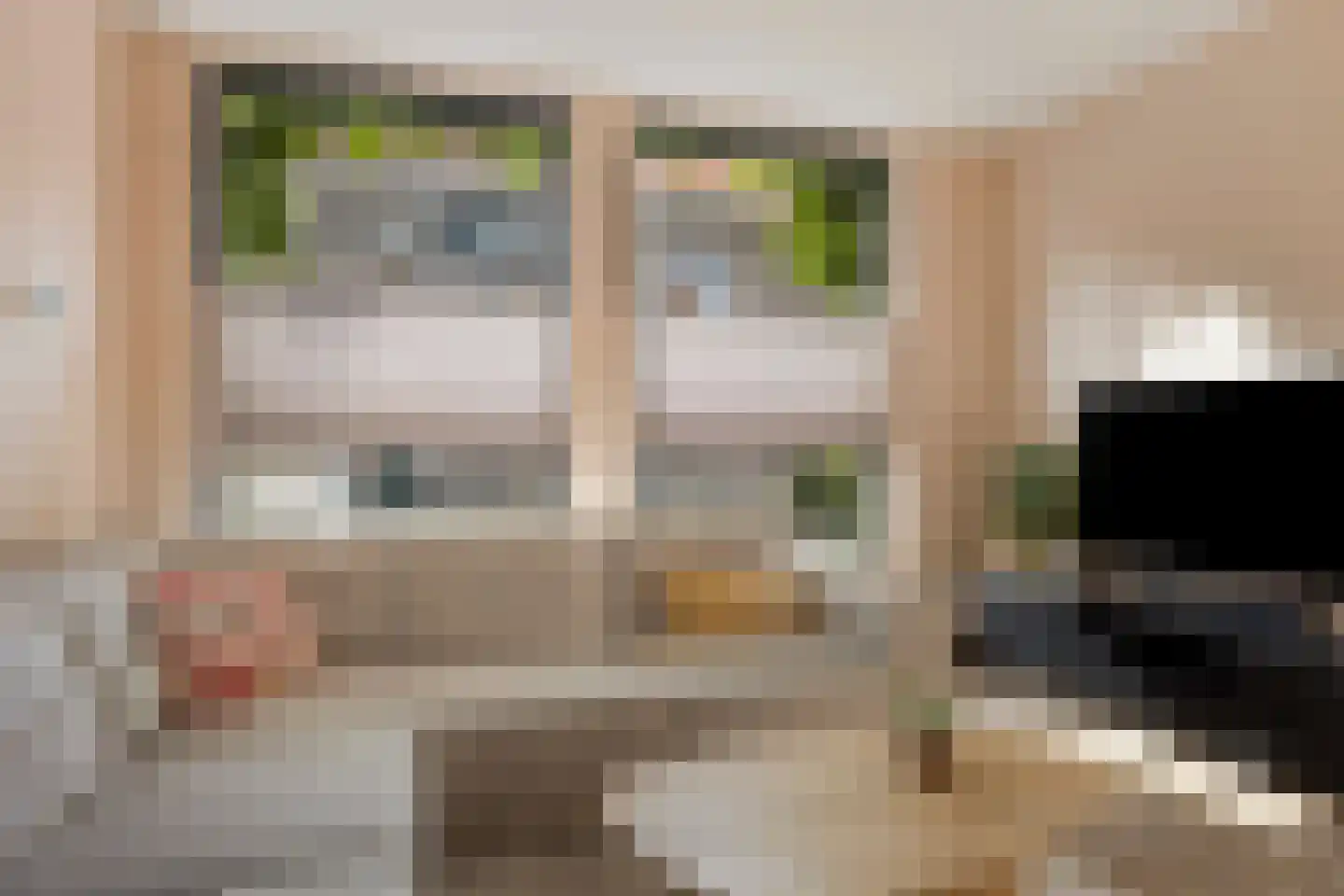 Coppensstraat 5 's-Hertogenbosch thumbnail 6