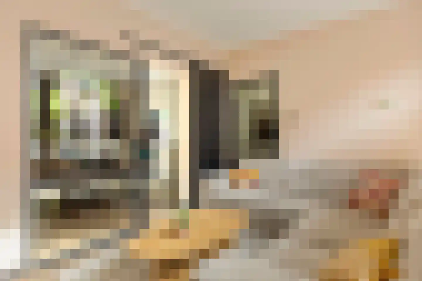 Coppensstraat 5 's-Hertogenbosch thumbnail 7