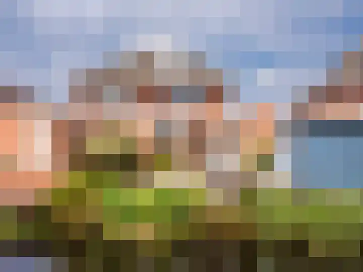 Coppersdelle 10 Petten thumbnail 25