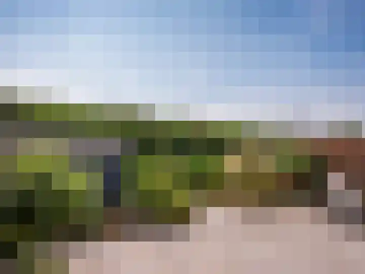 Coppersdelle 10 Petten thumbnail 30