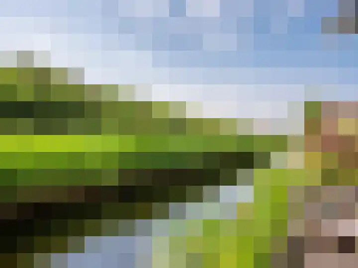 Coppersdelle 10 Petten thumbnail 32