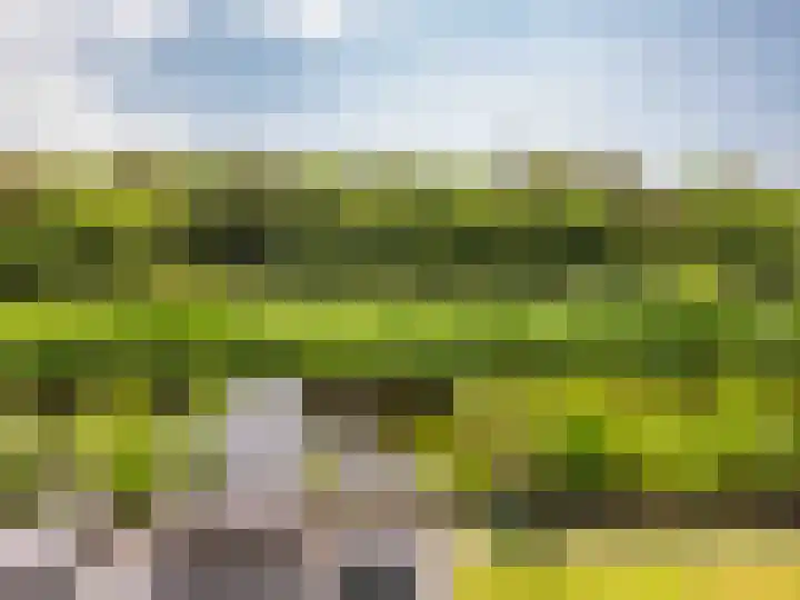 Coppersdelle 10 Petten thumbnail 33