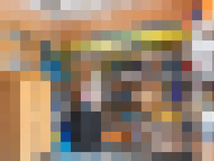 Coppersdelle 10 Petten thumbnail 36