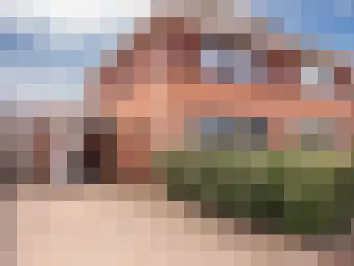 Coppersdelle 10 Petten thumbnail 38