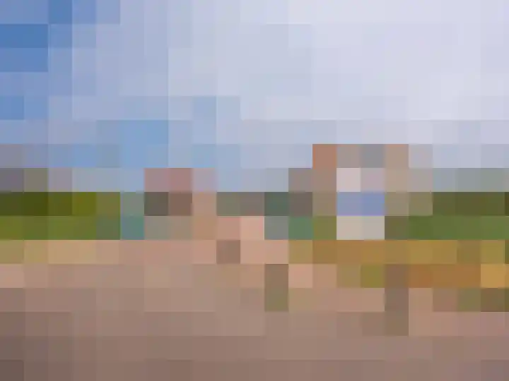 Coppersdelle 10 Petten thumbnail 39