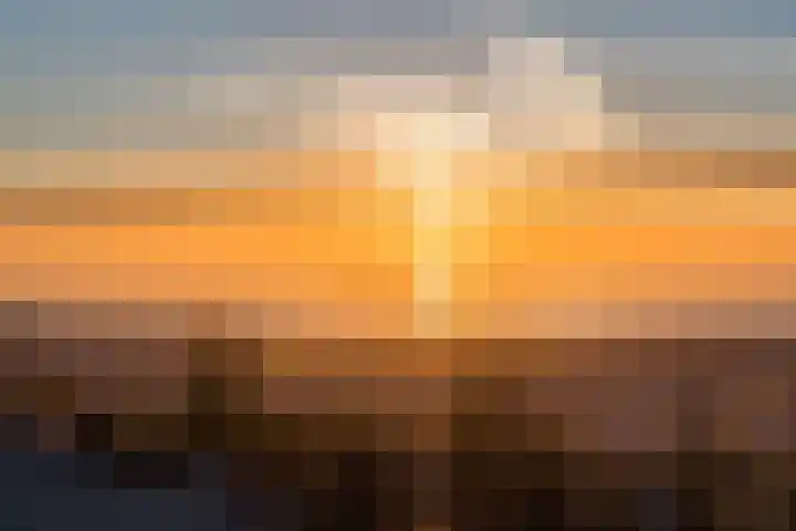 Coppersdelle 10 Petten thumbnail 4