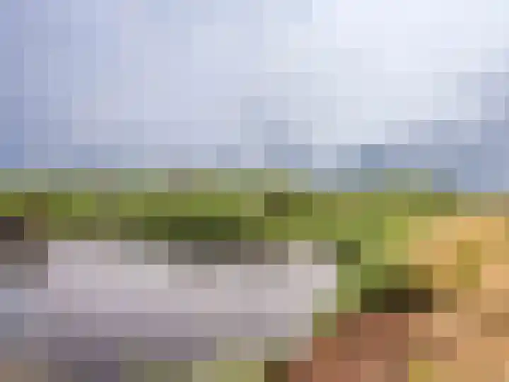 Coppersdelle 10 Petten thumbnail 40