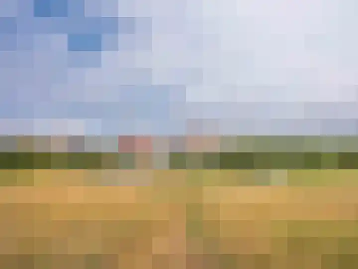 Coppersdelle 10 Petten thumbnail 42