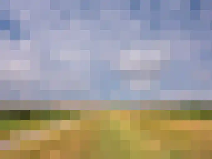 Coppersdelle 10 Petten thumbnail 43