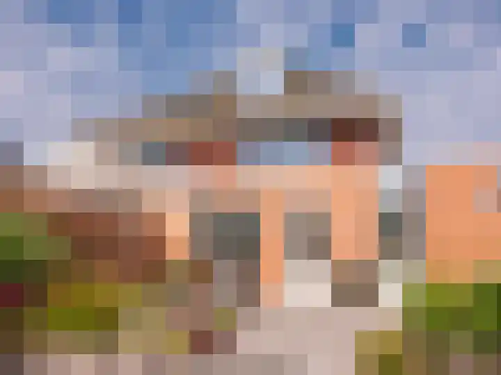 Coppersdelle 10 Petten thumbnail 5