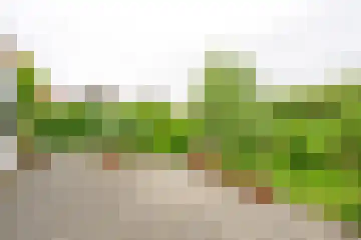 Coppersdelle 26 Petten thumbnail 10