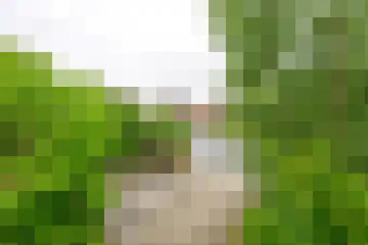 Coppersdelle 26 Petten thumbnail 11