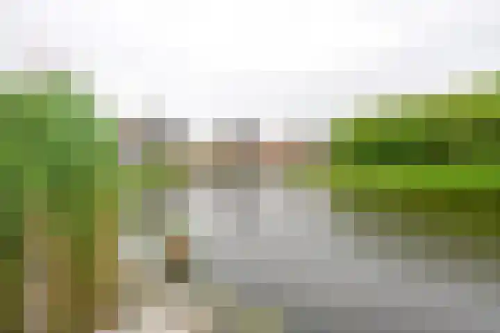 Coppersdelle 26 Petten thumbnail 12