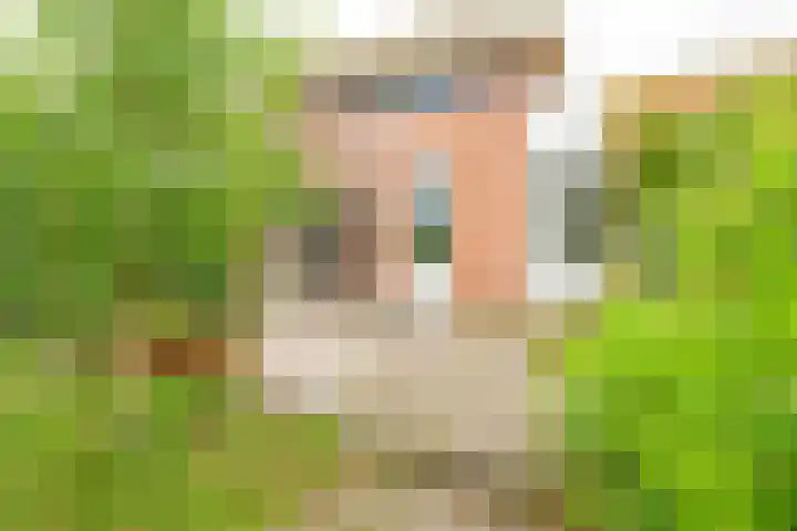Coppersdelle 26 Petten thumbnail 13