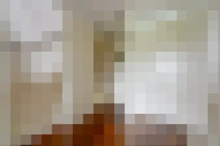 Coppersdelle 26 Petten thumbnail 15