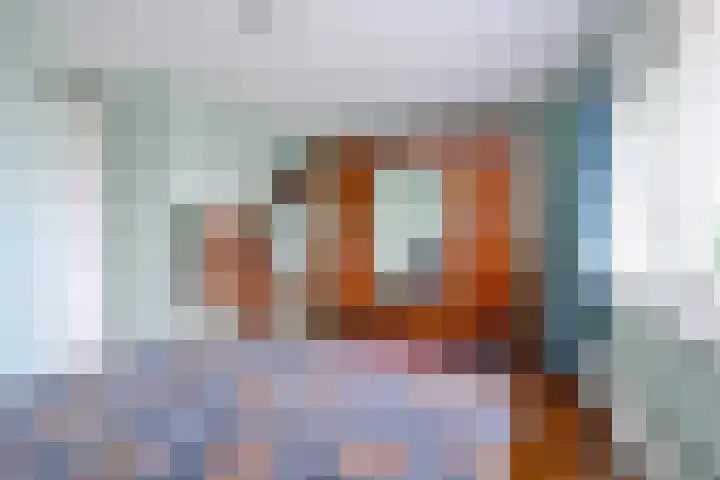 Coppersdelle 26 Petten thumbnail 17