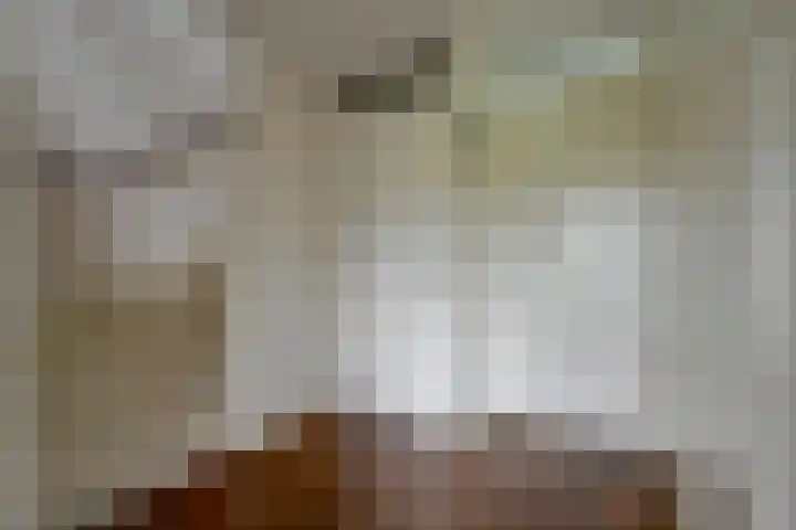 Coppersdelle 26 Petten thumbnail 24