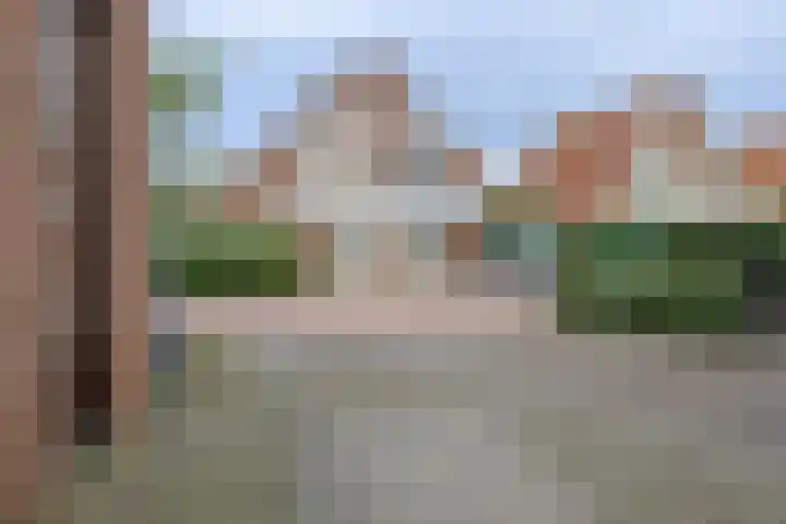 Coppersdelle 26 Petten thumbnail 27