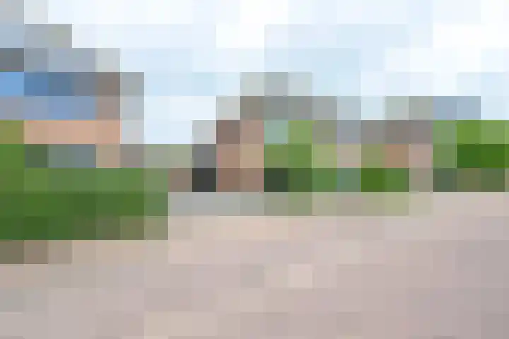 Coppersdelle 26 Petten thumbnail 28