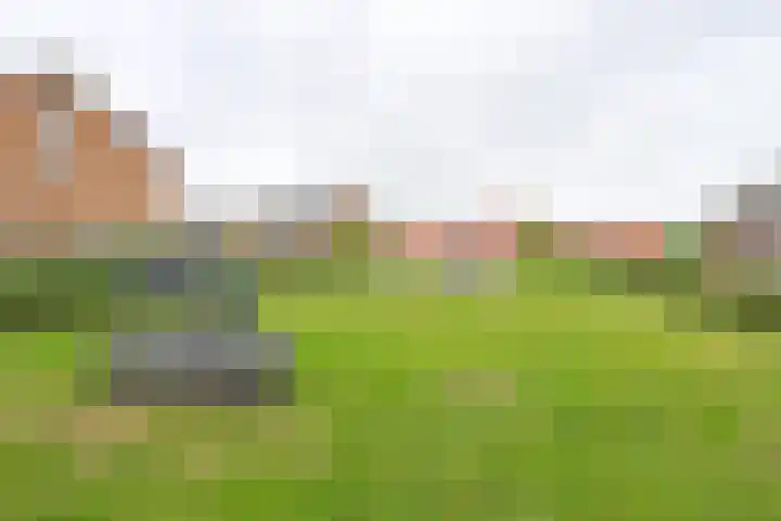 Coppersdelle 26 Petten thumbnail 29
