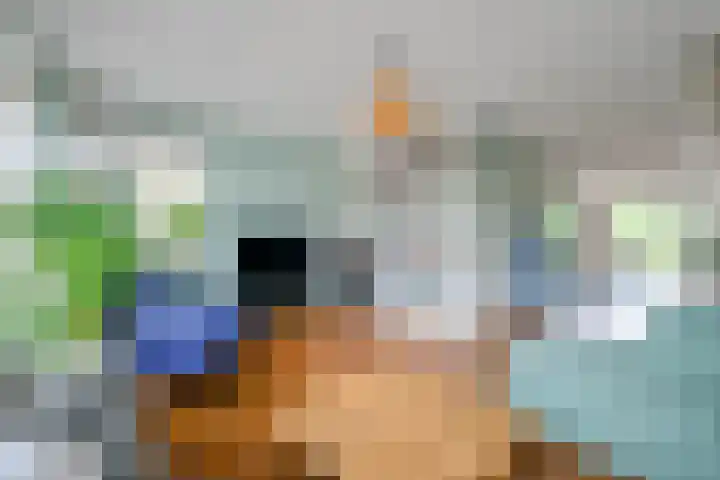 Coppersdelle 26 Petten thumbnail 4