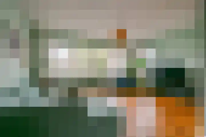 Coppersdelle 26 Petten thumbnail 5
