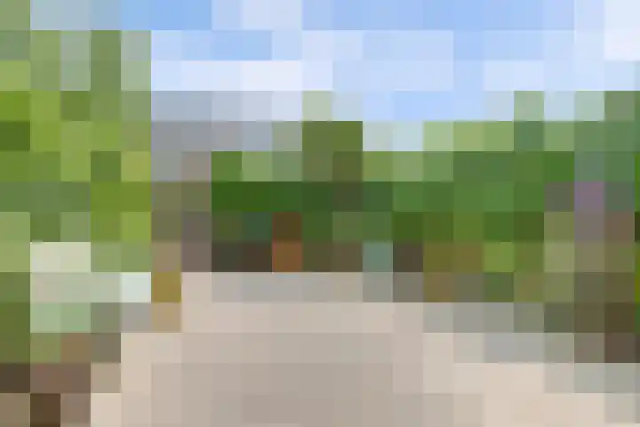 Coppersdelle 40 Petten thumbnail 25