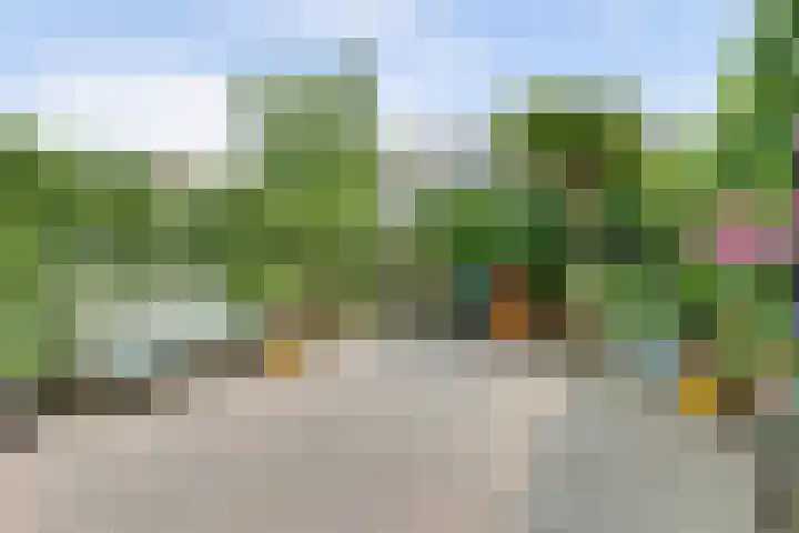 Coppersdelle 40 Petten thumbnail 26