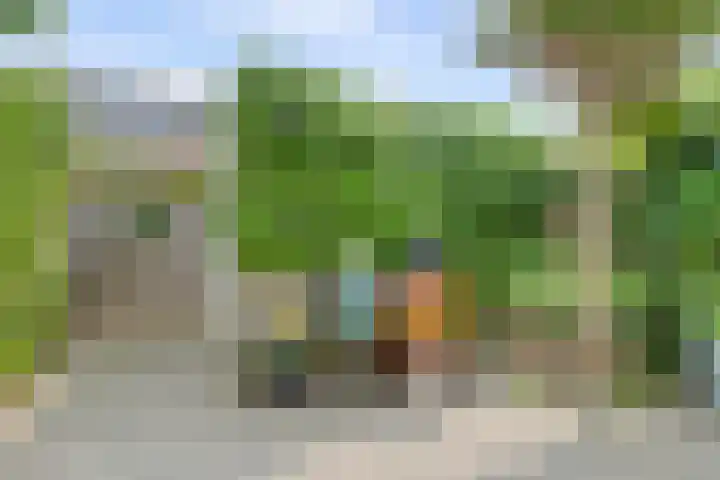 Coppersdelle 40 Petten thumbnail 27