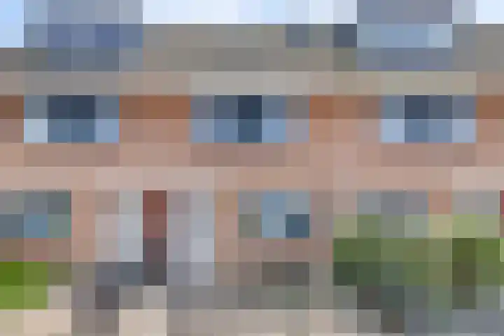 Coppersdelle 40 Petten thumbnail 30
