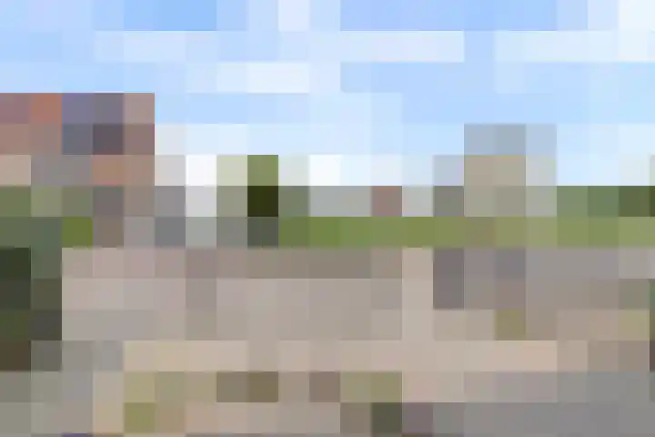 Coppersdelle 40 Petten thumbnail 31