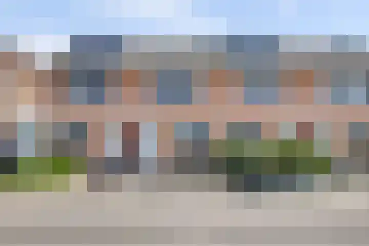 Coppersdelle 40 Petten thumbnail 36