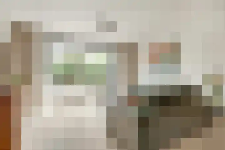 Coppersdelle 40 Petten thumbnail 8