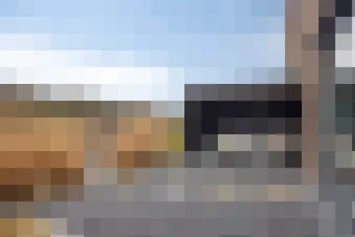 Coppersdelle 7 Petten thumbnail 19