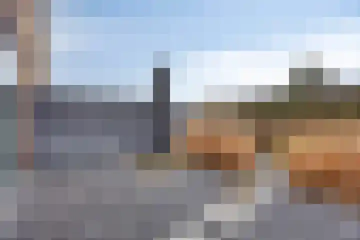 Coppersdelle 7 Petten thumbnail 20