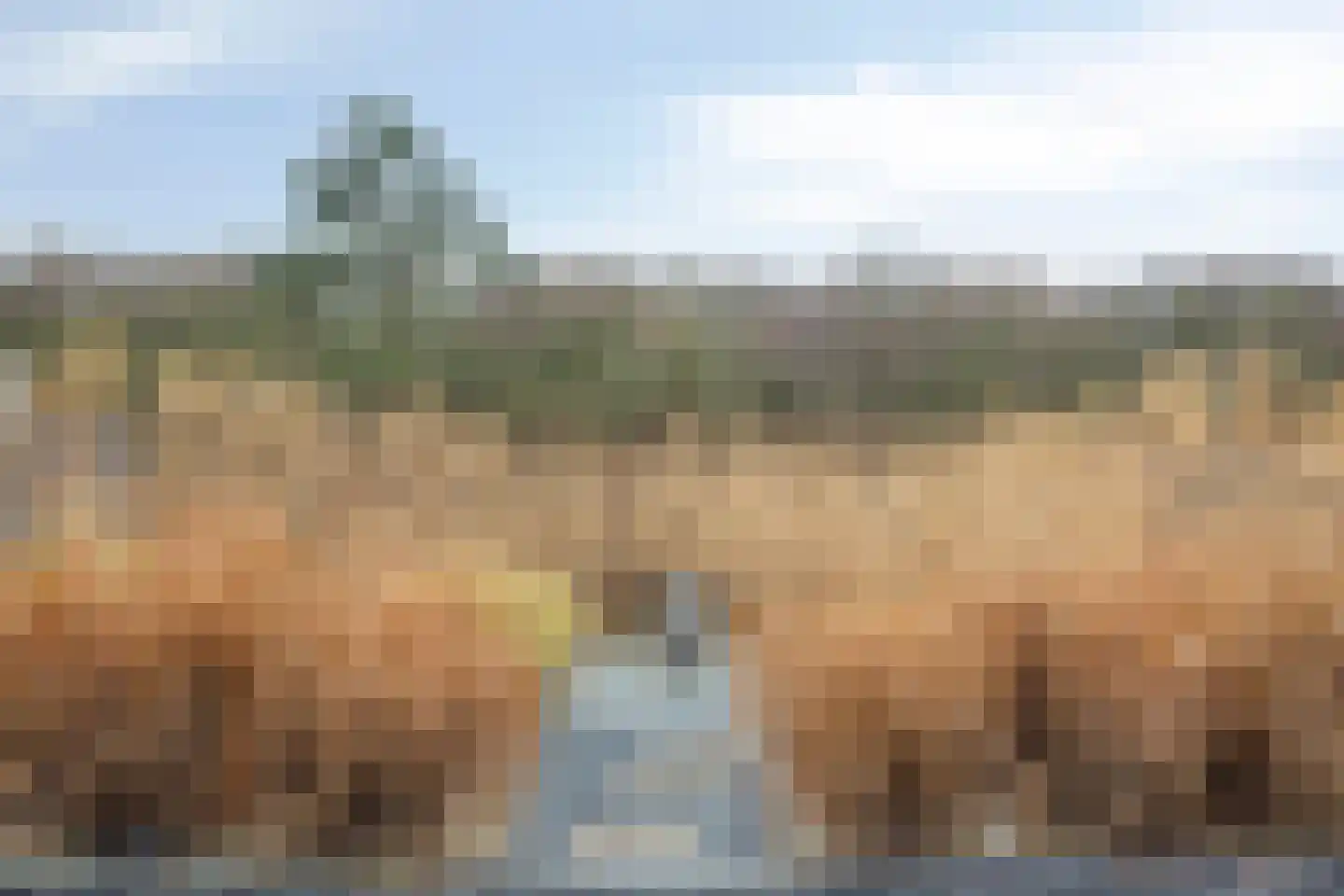 Coppersdelle 7 Petten thumbnail 21