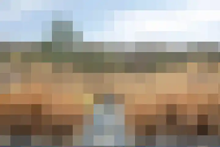 Coppersdelle 7 Petten thumbnail 21