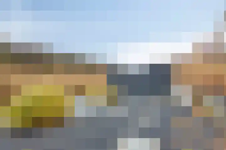 Coppersdelle 7 Petten thumbnail 22