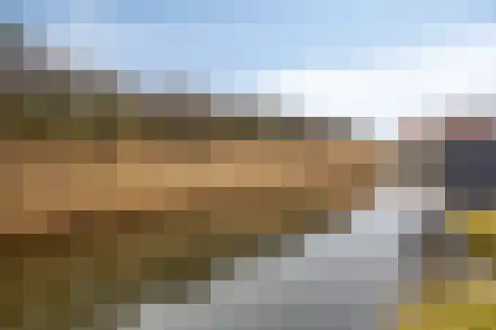Coppersdelle 7 Petten thumbnail 23
