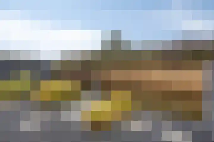 Coppersdelle 7 Petten thumbnail 24